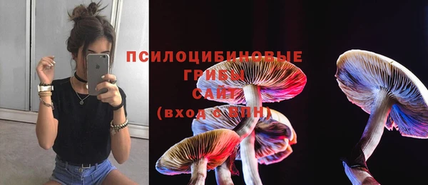 стаф Бугульма