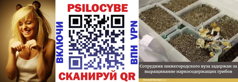 Псилоцибиновые грибы ЛСД  Купить  Кемерово 